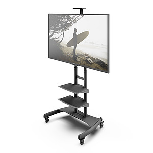 Mobile TV Mount with Two Adjustable Shelves