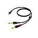 3.0m 3.5mm Stereo - Dual 6.3mm Mono Cable