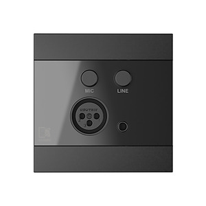 Remote Wall Panel for ARES5A with Mic & Line Inputs - Black